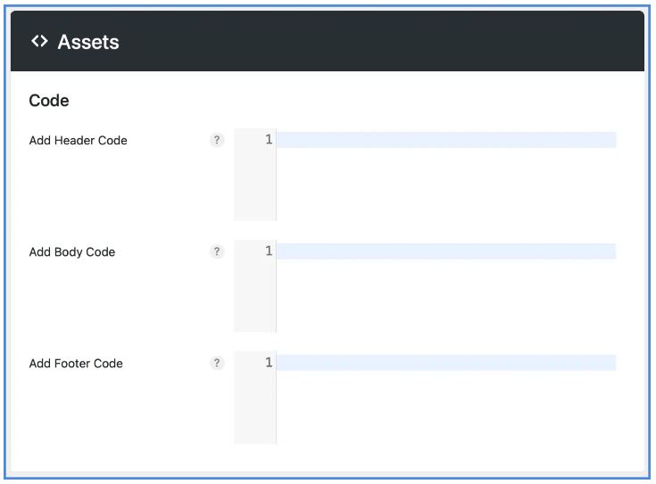 Perfmatters code header body footer