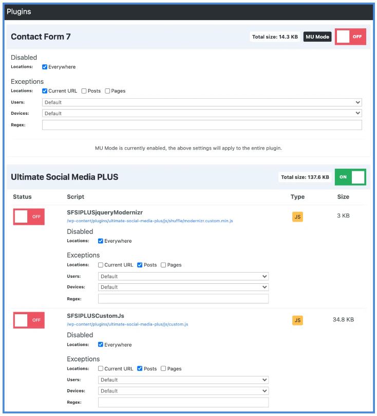 Perfmatters script manager