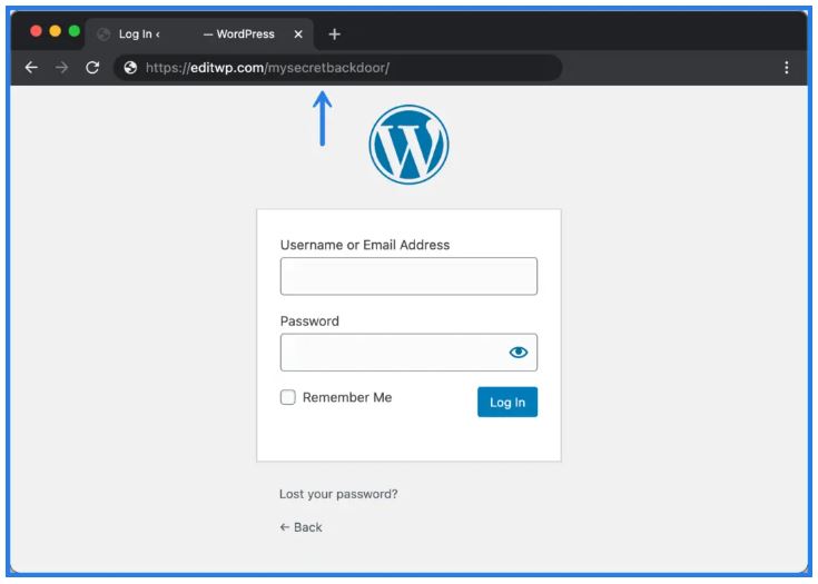 Perfmatters wordpress login url